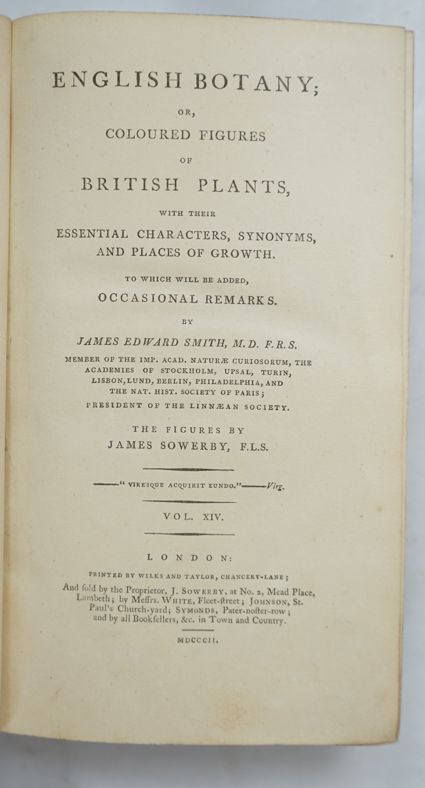 Sowerby, James and Smith, James Edward - English Botany, or, Coloured Figures of British Plants ..., 14 vols, with approximately 2,544 hand coloured plates, all randomly bound in, J. Davis, London, 1794-1802, 1804 and 18